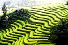 Lao Cai expects one-millionth tourist by October end