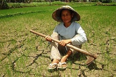 Urgent aid assists drought-hit people in central region