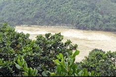 Hydropower projects face construction halt for environment pollution