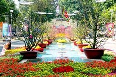 What's on February 2016 (Daily updated)