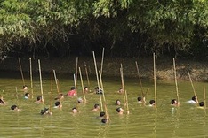 Fishing with long rackets on Hanoi's Tich River