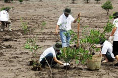 Scientists want more green space