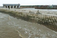 Ca Mau attempts to shore up dykes