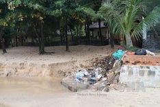 Pollution harms Phu Quoc
