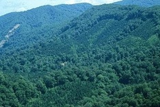 Vietnam gets aid to reduce greenhouse gas emissions