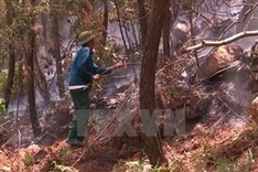 High risk of deforestation across country