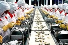 203 seafood processors licensed to export to Argentina