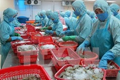 Food safety vital to win EU market