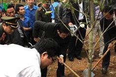 State President calls for forestation efforts