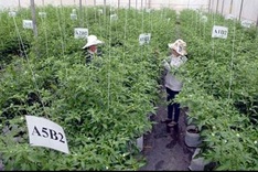 Gov't approves hi-tech agricultural zones plan