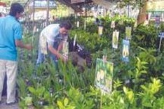 Agricultural expo spotlights safe produce