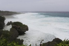 Japan battens down as intense typhoon Neoguri nears