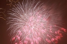 Firework displays welcome the Year of the Goat