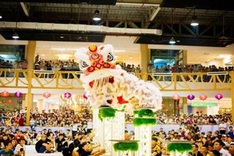 33 teams to compete at International Lion Dance Competition