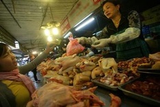 95% of illegally-imported chicken contaminated with antibiotics