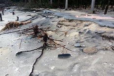 Hue beaches face severe erosion
