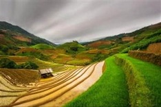 Sapa, Mt. Fansipan among Top 10 Southeast Asian hikes