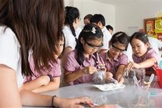 Decree 86 expected to fuel foreign investment in education