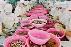 Boosting exports through FTAs