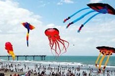 International kite festival takes to the skies in Vung Tau