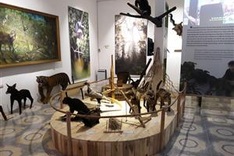 Open Museum of Nature and Culture opens in Nghe An