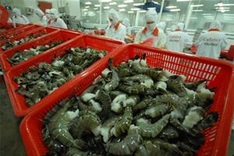 Shrimp exports reach US$ 2.25 billion