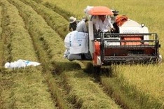 State Bank urged to increase credit to farmers