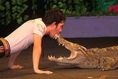 International circus to open in HCM City