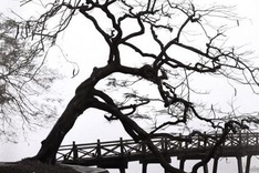 Life in Hanoi decades ago