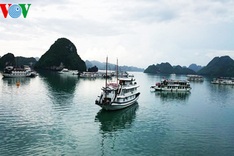 Ha Long City now has free Muni Wi-Fi
