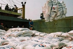 Higher exports expected for Vietnam's major products