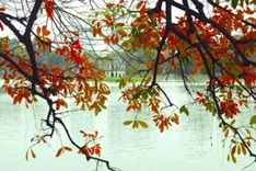 Vietnam among top 10 global places to travel in fall