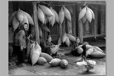 Vietnam wins FIAP silver award