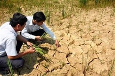 El Nino weather patterns to be harsh through early 2016