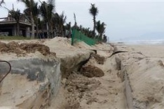 Đà Nẵng beaches face worst erosion in decades