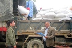 Rice aid to reach poor people for Tet