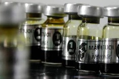 Wild bears in Vietnam on the verge of extinction