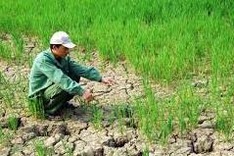 Hanoi moves to adapt climate change