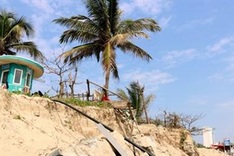 My Khe beach faces erosion danger