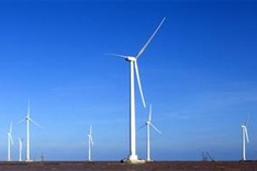 Low feed-in-tariffs deter foreign wind power investors