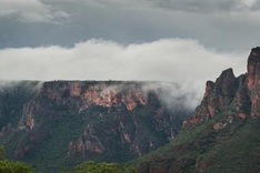 Extinction fears 'alarmist': study