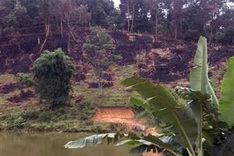 Authority confirms serious deforestation in Điện Biên