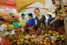 HCM City theme park set to host Southern Fruit Festival