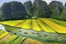 Vietnam tops Asian region in travel growth