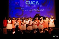 Hanoi to host international concert