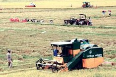 Farmers join world trend to go ‘green'