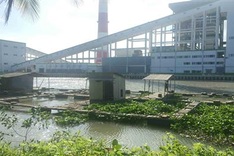 Fish farms in Hau Giang closed for fear of pollution from paper mill