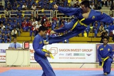 Vietnamese martial art added to SEA Games