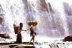 Photos feature wild side of life