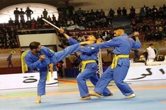 Vovinam’s influence worldwide